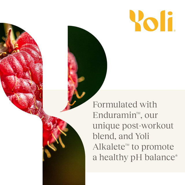 Yoli Fun - Electrolyte Powder Packets - Hydration Powder Sugar-Free Electrolytes with Alkalete Blend