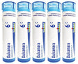 Boiron Dulcamara 6C, Homeopathic Medicine for Joint Pain (Pack of 5)