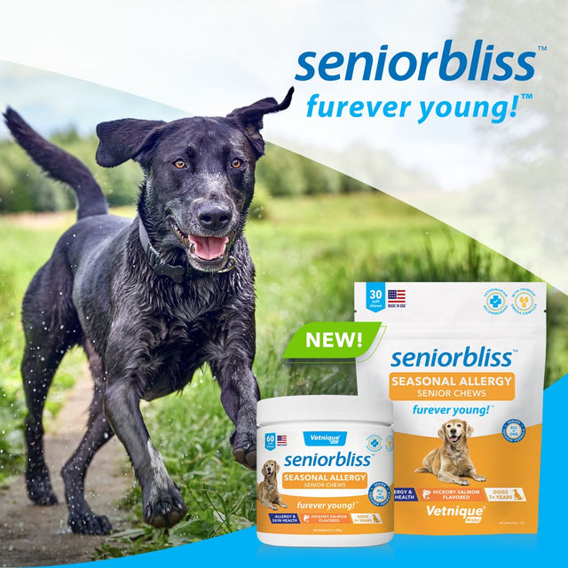 Vetnique Labs Seniorbliss Aging Dog (7+) Senior Dog Vitamins and Supplements, Supports Heart, Allergy, Arthritis, Skin and Coat - Furever Young (All-In-One Daily Vitamin, 120Ct)