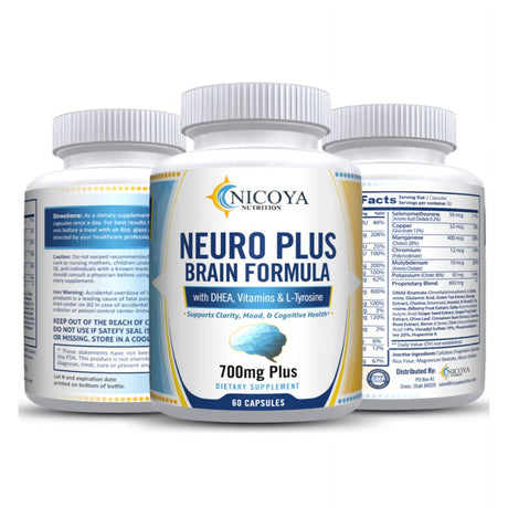 Brain Supplements & Nootropics - Memory Focus Mental Concentration Booster Pill 60 Capsule