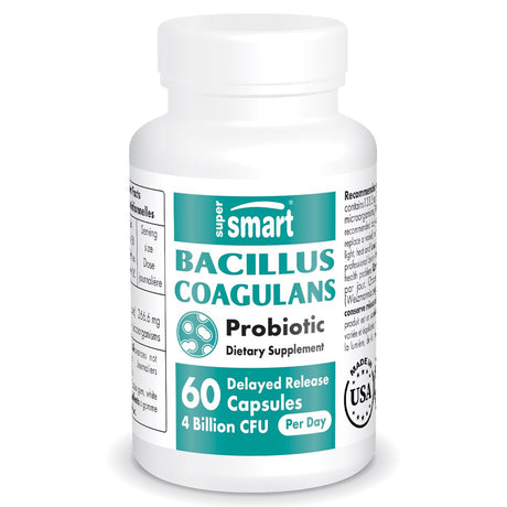 Supersmart - Bacillus Coagulans Probiotic 4 Billion CFU per Day (Lactobacillus Sporogenes) - Healthy Gut Flora - Digestive Health | Non-Gmo & Gluten Free - 60 Delayed Released Capsules