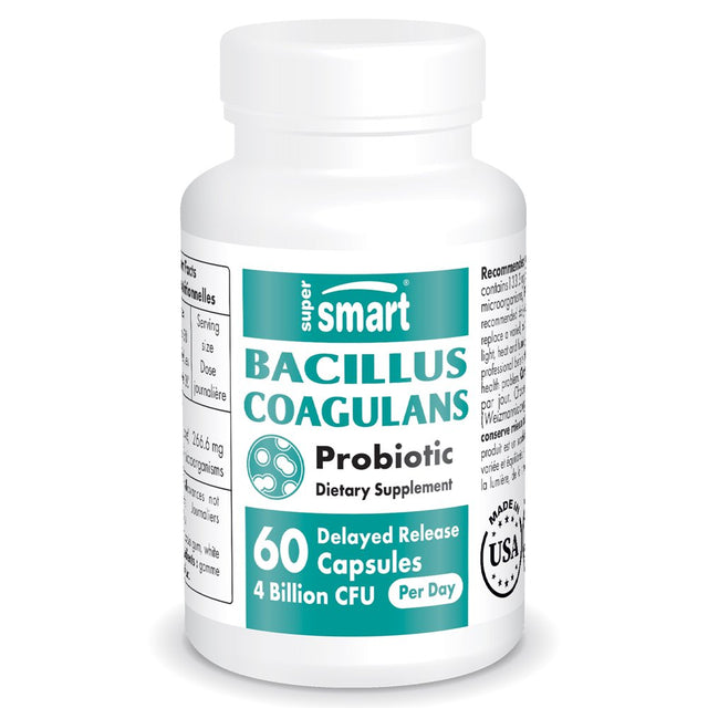 Supersmart - Bacillus Coagulans Probiotic 4 Billion CFU per Day (Lactobacillus Sporogenes) - Healthy Gut Flora - Digestive Health | Non-Gmo & Gluten Free - 60 Delayed Released Capsules