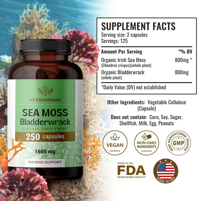 HERBAMAMA Sea Moss & Bladderwrack Capsules - Thyroid Support, Immune & Gut Health 250 Caps