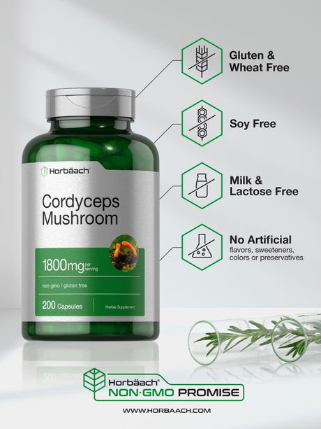 Cordyceps Sinensis Mushroom Extract | 2000Mg | 200 Capsules | by Horbaach