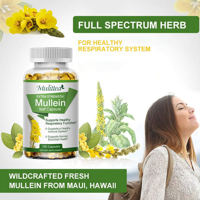 Mulittea Mullein Leaf Capsules Herbal Supplement Supports Respiratory Function Health,120Count/Bottle