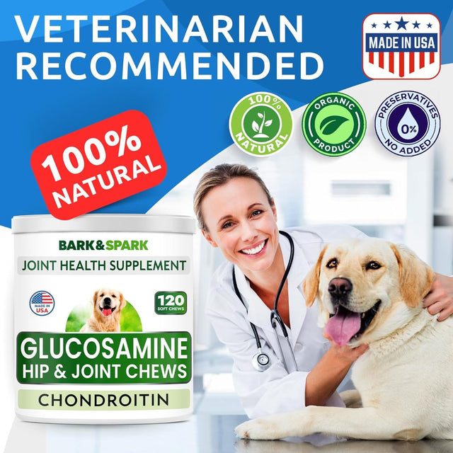 Glucosamine Chondroitin Dog Hip & Joint Supplement - Joint Pain Relief - Hip & Joint Chews for Dogs - Joint Support Large Breed - Senior Doggie Vitamin Pills Joint Health - (120 Treats - Chicken)