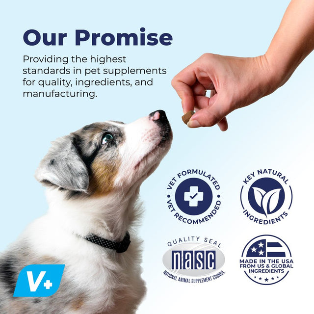 Vetnique Labs Profivex Probiotics Supplement for Dogs Soft Chews Daily Chewable Digestive Treats with Prebiotics - 60 Ct Pork Liver Flavor