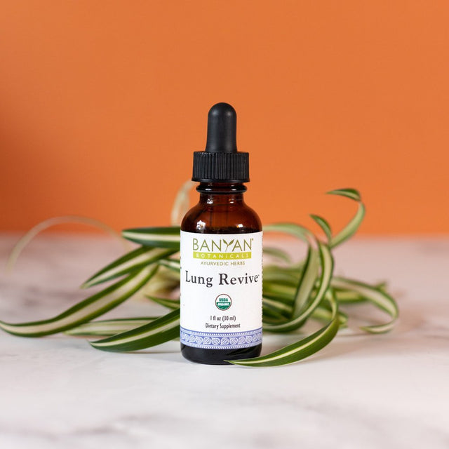 Banyan Botanicals Lung Revive – Organic Liquid Extract ­­– Strengthening Herbal Tonic for Lung Rejuvenation & Healthy Respiration* – 1 Fl Oz – Non GMO Sustainably Sourced Vegan