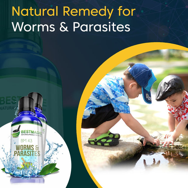 Worms and Parasites Remedy for Humans BM43, 30Ml - Bestmade Natural Products