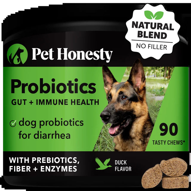 Pet Honesty Dog, Gut and Immune Health Support Probiotic Supplement W Prebiotics Fiber and Enzymes, for Diarrhea, Duck Flavor, 90 Count Soft Chews