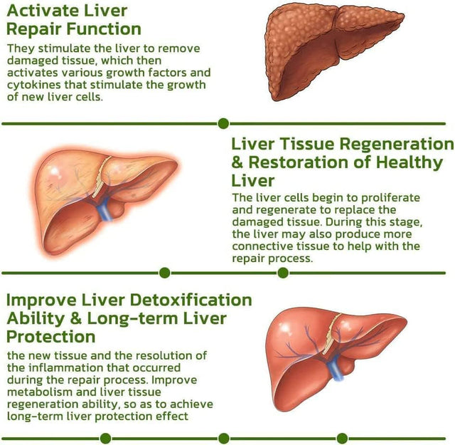 Vegan Liver Cleaning Nasal Herbal Box,5 Flavors Cleanse Detox & Repair Nasal Herbal Box,Lung Cleanse for Smokers,Natural and Safe Essential Oils Inhalers (Mint)