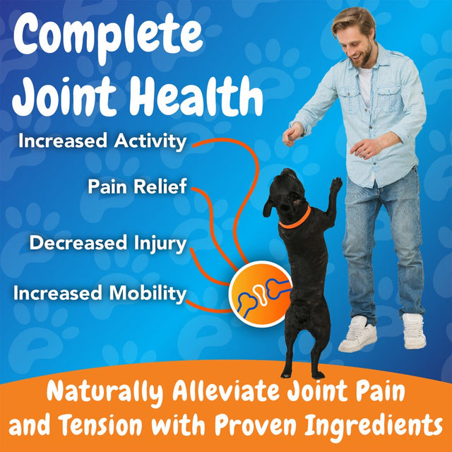 Inner Paw Turmeric Hip & Joint Chewable Tablets for Dogs - Maximum Strength - MSM - anti Inflammatory - Pain Relief - Joint Health - 60 Chewable Tablets