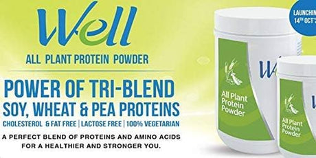 WELL All Plant Protein Powder (200G)