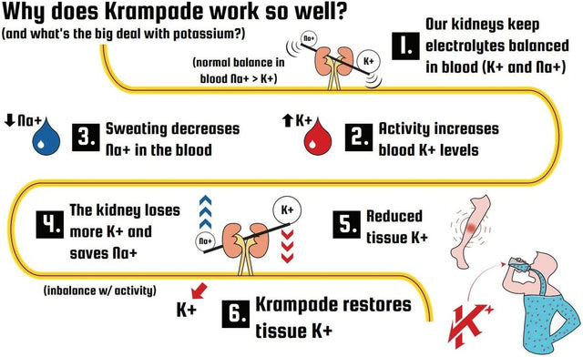 Original Lemon Lime 4K, 4000 Mg Potassium Instant Cramp Relief Electrolyte Drink Powder | Designed for Athletes and Crampers | 19-Serving Resealable Pouch