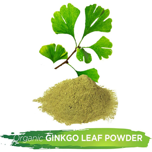 Alovitox Ginkgo Biloba Organic Leaf Powder | Supports Aging, Memory, Focus, Mood Stability, Concentration – Pure 100% Natural, Vegan, Non GMO & USDA Certified 8 Oz