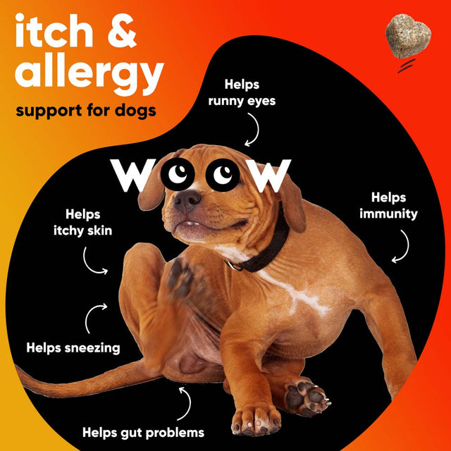 Allergy & Immunity Immune Chews | Dr Woow