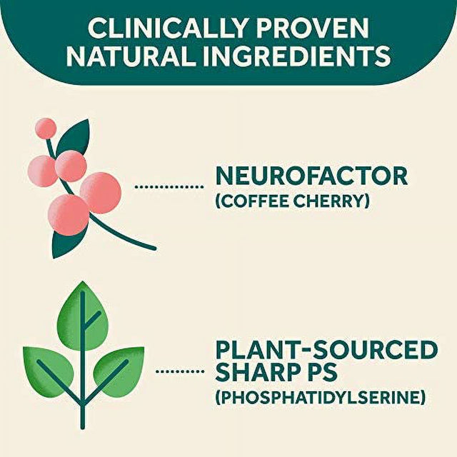 Original Capsules (30Ct) Phosphatidylserine, Gluten Free, Decaffeinated - Supports Focus, Memory, Learning, Accuracy & Concentration (Pack of 1)