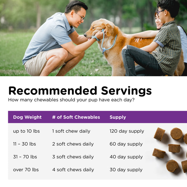 Nutri-Vet Pre and Probiotic Soft Chews for Dogs - 120 Soft Chews