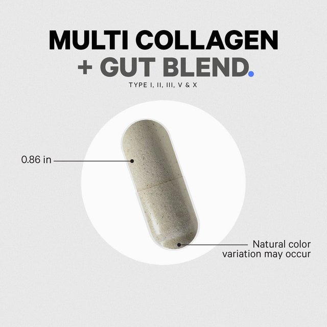 Multi Collagen Capsules + Gut Health Blend, Digestion Probiotics, Collagen 5 Types, Botanicals, 90 Ct