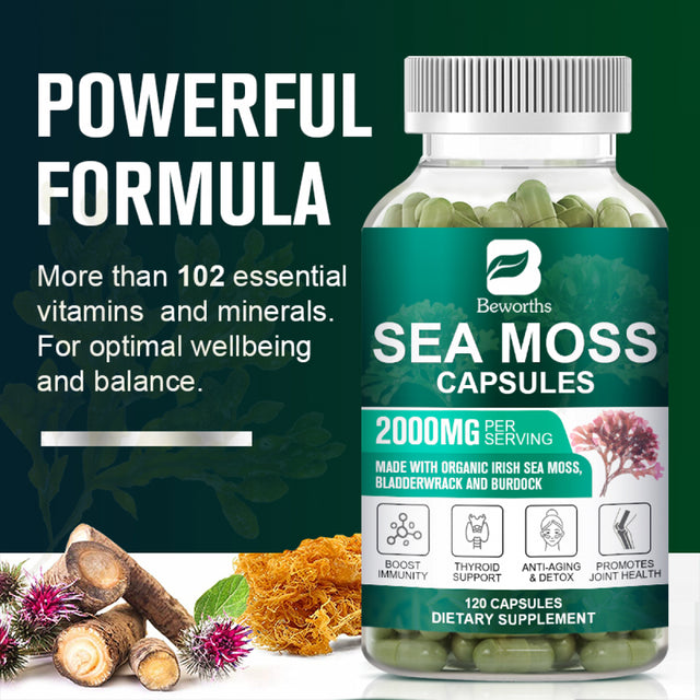 BEWORTHS Organic Sea Moss Capsules 2000Mg with Burdockroot, for Immune Boost, Skin & Joint Health, Gut Cleanse & Thyroid Support - 120 Capsules