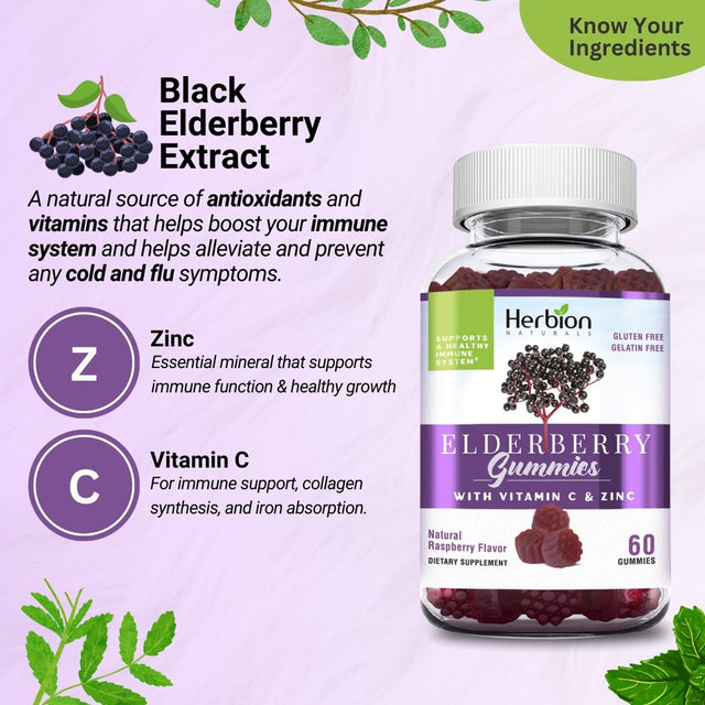 Herbion Elderberry Gummies with Vitamin C & Zinc - Healthy Immune System Support - Gluten-Free & Gelatin-Free - 60 Gummies for Adults & Children 4 Years & above - Made in USA.