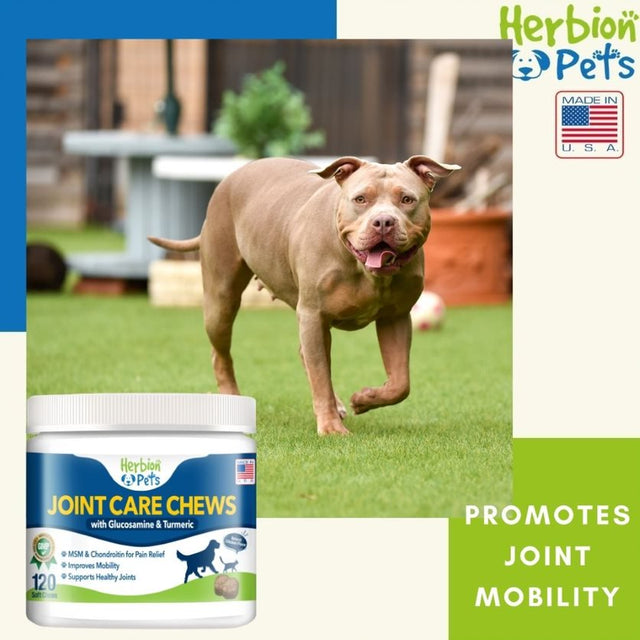 Herbion Pets Joint Care Chews with Glucosamine & Turmeric, 120 Soft Chews - MSM & Chondroitin for Pain Relief - Improves Mobility - Supports Healthy Joints - Made in the USA - for Dogs 12 Weeks+