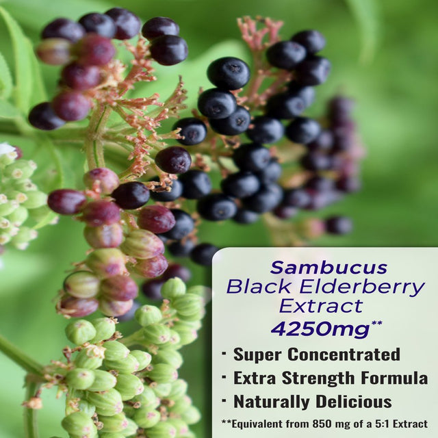 Nature'S Truth Black Elderberry Extract 4250Mg | 8 Oz Syrup | Super Concentrated Sambucus Supplement | Vegan, Non-Gmo, Gluten Free