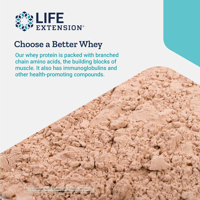 Life Extension Wellness Code Whey Protein Concentrate Chocolate - Protein Shake Mix Powder Fitnests Supplement - for Muscle Growth Support - Gluten-Free, Non-Gmo, Sugar-Free - 640 Grams (20 Servings)