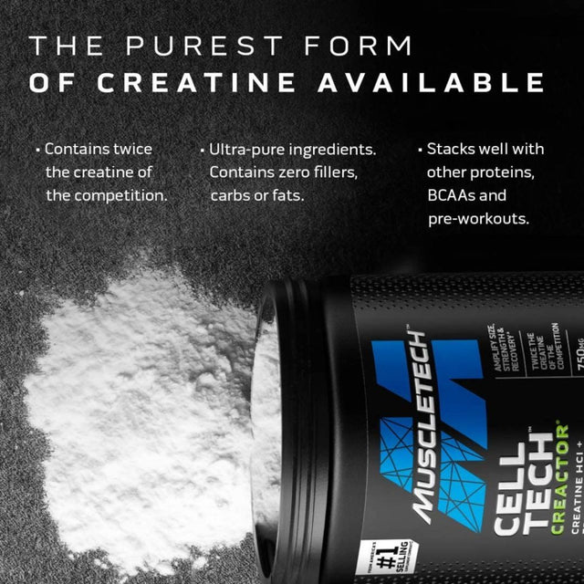 Creatine Powder | Cell-Tech Creactor | Creatine Hcl Formula | Muscle Builder for Men & Women | Creatine Hcl + Free-Acid Creatine | Creatine Su...