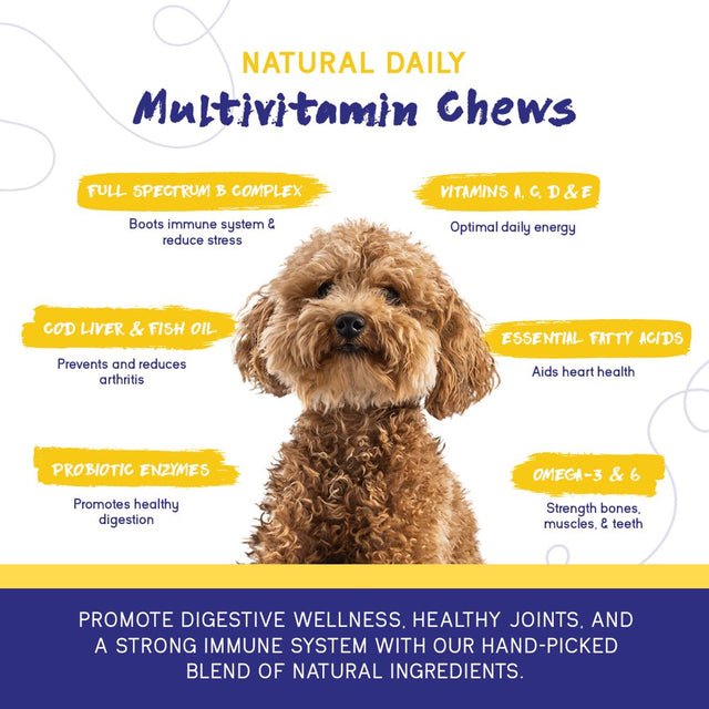 Pupgrade Daily Multivitamin for Dogs - All-In-One Supplement for Digestive, Immune System, Skin and Coat Health - Probiotic Enzymes, Omega Fish Oil, Vitamins A, C, D & E - 30 Soft Chews