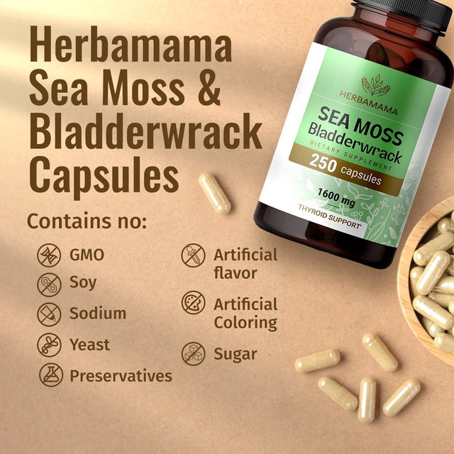 HERBAMAMA Sea Moss & Bladderwrack Capsules - Thyroid Support, Immune & Gut Health 250 Caps