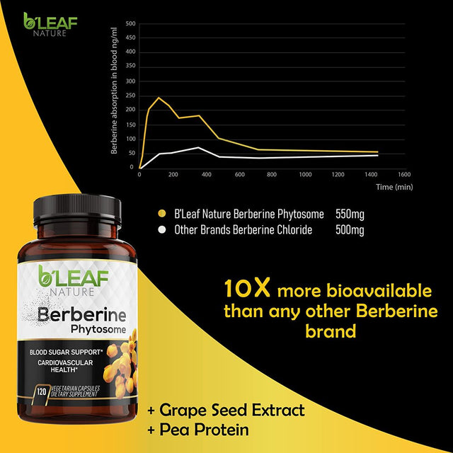 Berberine Phytosome - Superior Absorption - Natural Herbal Supplement – Gluten Free – Non GMO -1100Mg per Serving - 120 Vegetarian Capsules by B’Leaf Nature