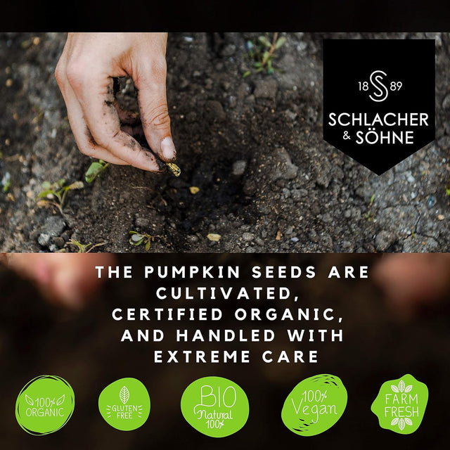 Schlacher & Söhne Styrian Pumpkin Seed Protein Powder: 100% Pure, Organic Plant Protein, Non GMO, Gluten Free, Vegan, No Additives, Boost’S Immune System, Improves Digestion, Made in Austria 17.6 OZ