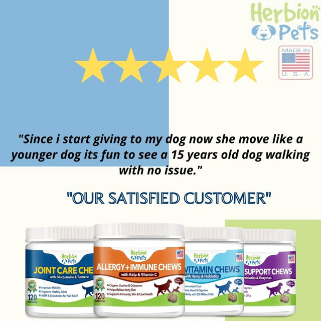 Herbion Pets Joint Care Chews with Glucosamine & Turmeric, 120 Soft Chews - MSM & Chondroitin for Pain Relief - Improves Mobility - Supports Healthy Joints - Made in the USA - for Dogs 12 Weeks+