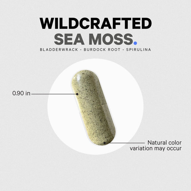 Codeage Raw Wildcrafted Irish Sea Moss, Bladderwrack, Burdock Root, Spirulina & Bioperine® Pepper, 120 Ct