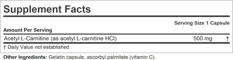 ANDREW LESSMAN Acetyl L-Carnitine 500 Mg - 60 Capsules - Support for Nervous System, Fat and Energy Metabolism, Healthy Brain Function and Healthy Blood Flow to the Brain. Easy-To-Swallow Capsules.