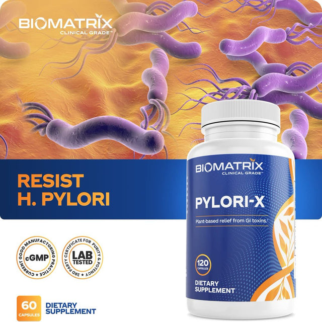 Biomatrix Pylori-X | Stomach and GI Support for H. Pylori Defense | Mastic Gum Berberine | Matula Tea Alternative (120 Caps)