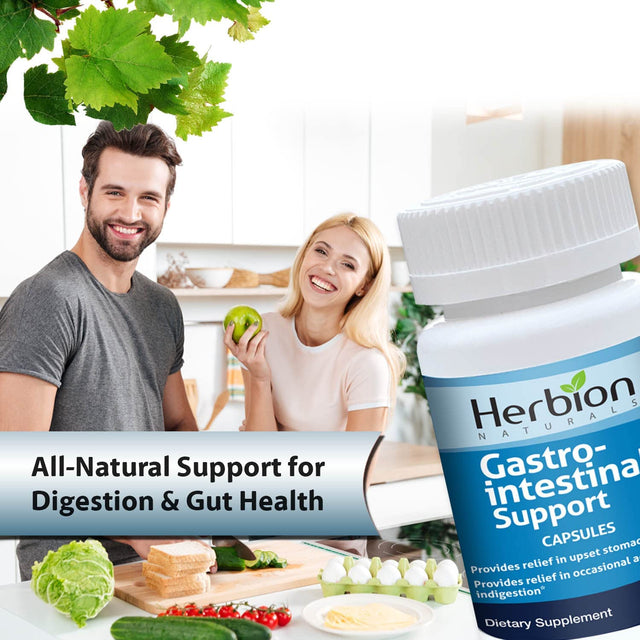 Herbion Naturals Gastro-Intestinal Support Herbal Blend for Upset Stomach Relief, Gastrointestinal Health and Function, Occasional Acid Indigestion, Healthy Intestinal Flora, 60 Vegicaps