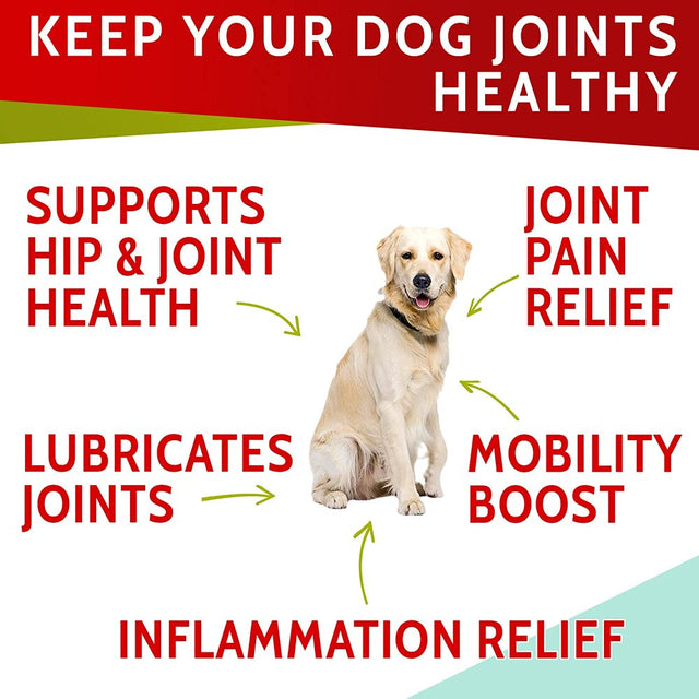 Glucosamine Dog Treats for Picky Eaters - Joint Supplement W/Chondroitin, MSM, Omega-3 - Joint Pain Relief - Advanced Formula - Chicken Flavor - Made in USA