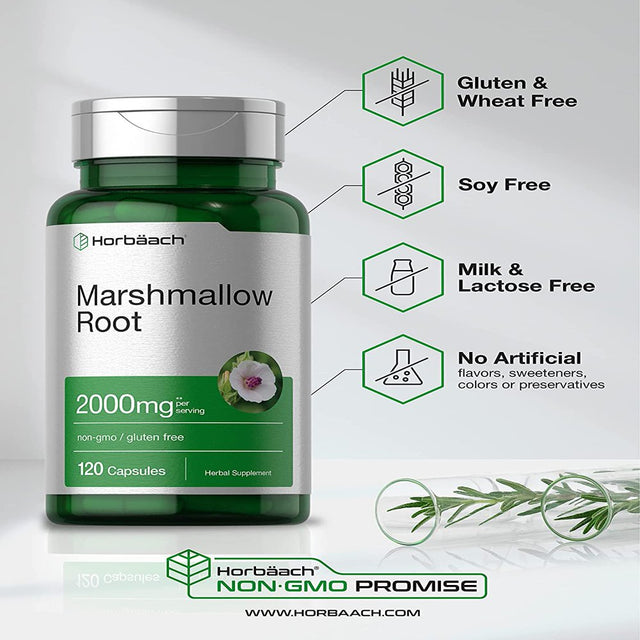 Marshmallow Root Capsules | 2000Mg | 120 Count | Non-Gmo & Gluten Free | Traditional Herb Extract | by Horbaach