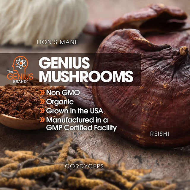 Mushroom Brain Supplement Nootropic with Lions Mane, Reishi, Codyceps for Energy & Focus, Genius Mushrooms by the Genius Brand