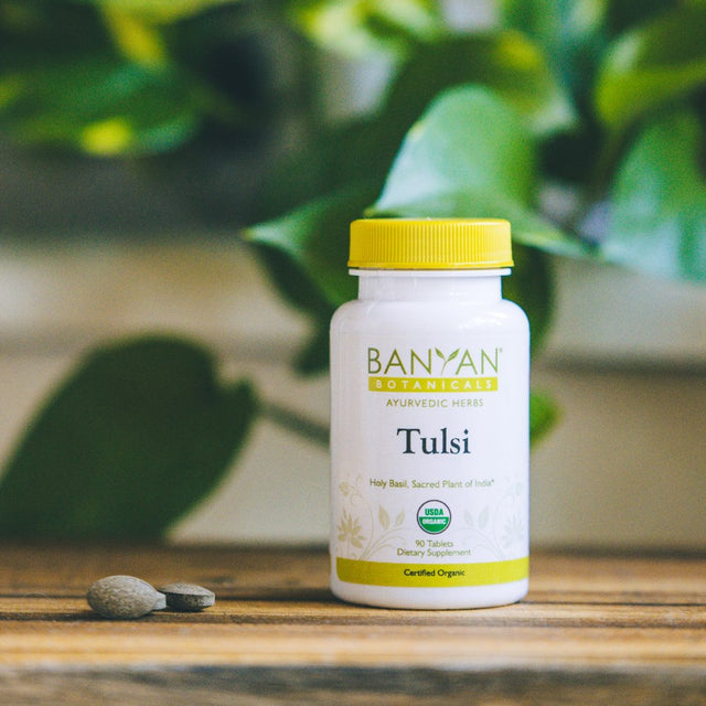 Banyan Botanicals Organic Tulsi, Holy Basil Tablets 90 Ct - Adaptogen Supplement Promotes Optimal Function of the Lungs, Heart, & Digestion. Supports Stress Relief and Healthy Inflammatory Response**