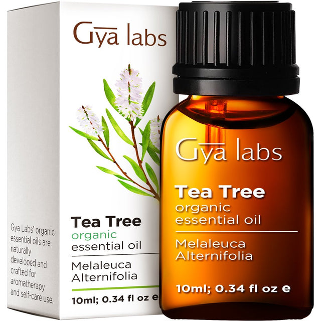 Gya Labs Australian Organic Tea Tree Oil for Skin - Natural Tea Tree Oil for Hair - Tea Tree Oil for Face - Tea Tree Essential Oil for Toenails, Scalp & Piercings (0.34 Fl Oz)