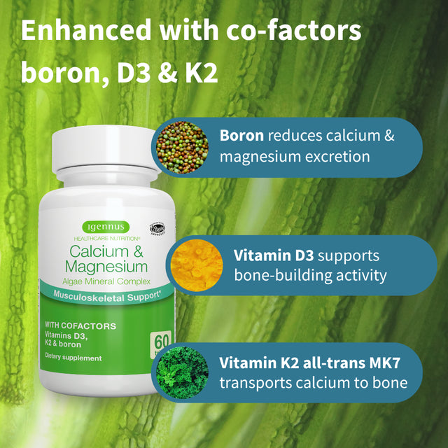 Calcium & Magnesium 2:1, Plant Based Algae Mineral Complex, Bone & Teeth Support, High Absorption Formula with Cofactors Boron, Vitamin D3 & K2, Vegan, 60 Tablets, by Igennus…