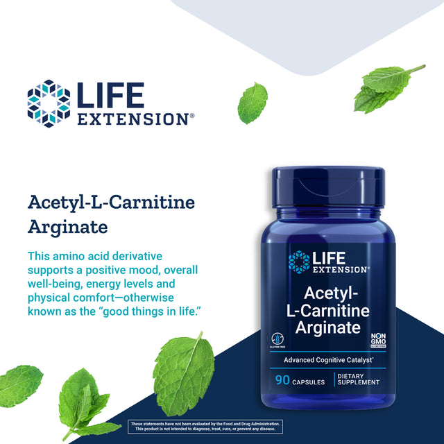 Life Extension Acetyl-L-Carnitine Arginate - for Cell Energy & Brain Health Support - Gluten-Free, Non-Gmo - 90 Capsules