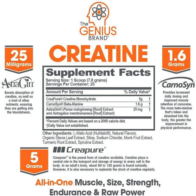 Creatine Lean Muscle Gain Powder Supplement - Post Workout Recovery Support with Beta Alanine, Green Apple, Genius Creatine by the Genius Brand