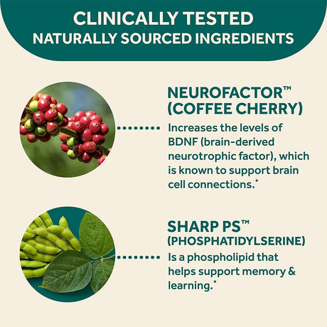 NEURIVA Original Capsules (30Ct) Phosphatidylserine, Gluten Free, Decaffeinated - Supports Focus, Memory, Learning, Accuracy & Concentration (Pack of 1)