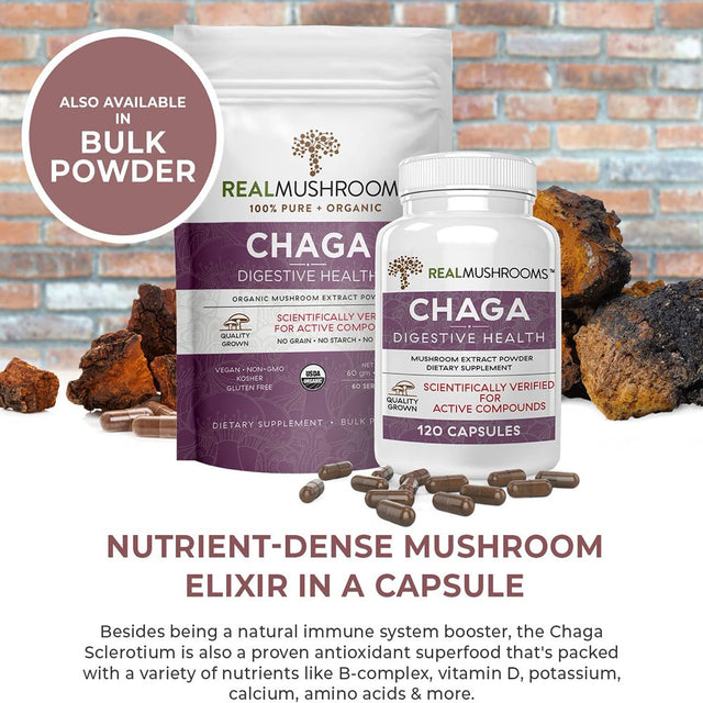 Real Mushrooms Chaga, Digestive Health, 120 Capsule