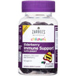 Zarbee'S Naturals Children'S Elderberry Immune Support Supplement (Pack of 32)