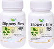 Biotrex Nutraceuticals Slippery Elm 400 Mg, 60 Veg Capsules, Pack of 2